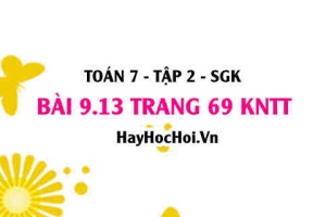 Bài 9.13 trang 69 Toán 7 Tập 2 Kết nối tri thức